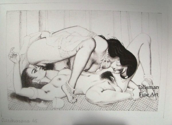 Mark Severin, illustrated Kama Sutra limited edition - Image 3