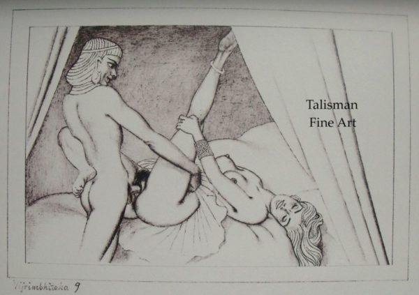 Mark Severin, illustrated Kama Sutra limited edition - Image 5